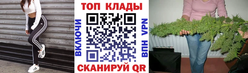Где можно купить наркотики Выборг ГАШ  COCAIN  МЕФ  АМФ  Каннабис 