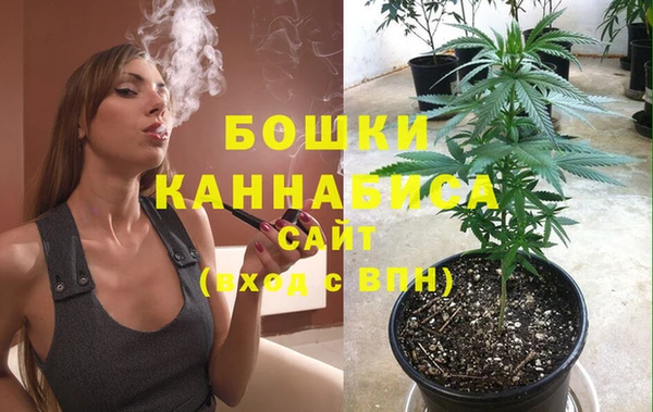 прущие грибы Бородино