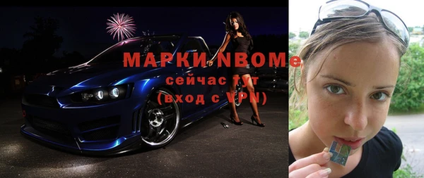 прущие грибы Бородино
