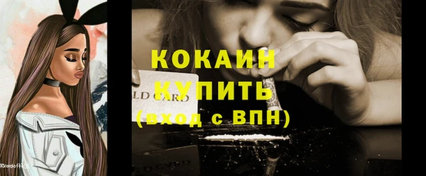прущие грибы Бородино