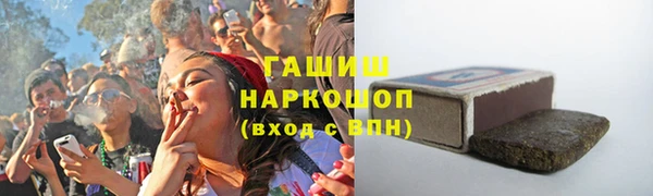 прущие грибы Бородино