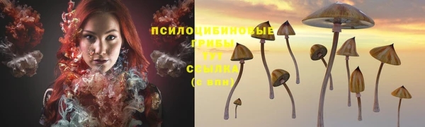 а пвп мука Бугульма