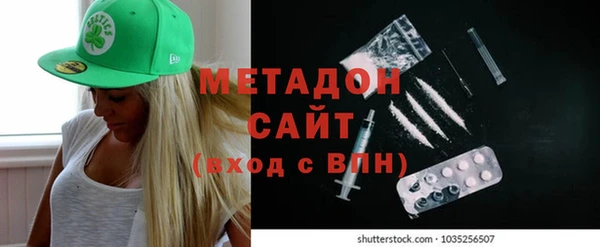 прущие грибы Бородино