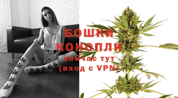 прущие грибы Бородино