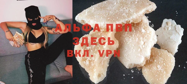стаф Снежногорск